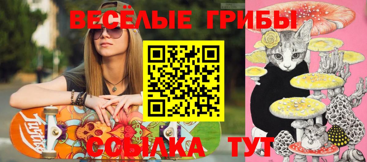 Новоалтайск  Галлюциногенные грибы мицелий  Вход с VPN 