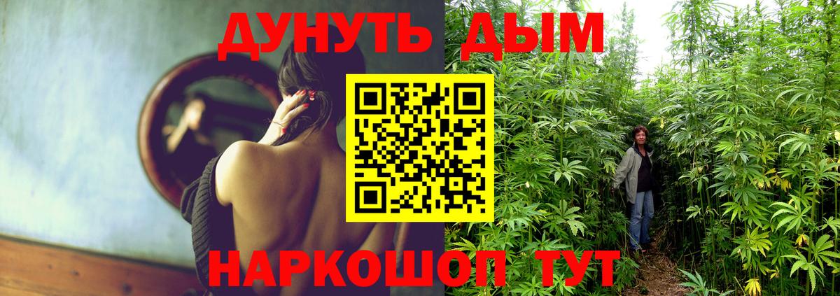 Марихуана гибрид  Вход с VPN  Бошки Шишки THC 21%  Конопля OG Kush  Конопля ГИДРОПОН  Новоалтайск 